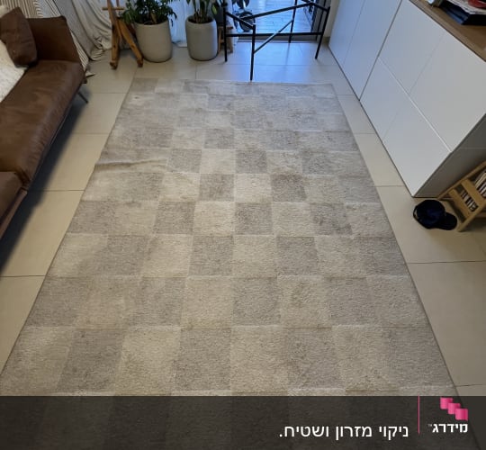 שטיח סלון בהיר ונקי פרוס בבית הלקוח